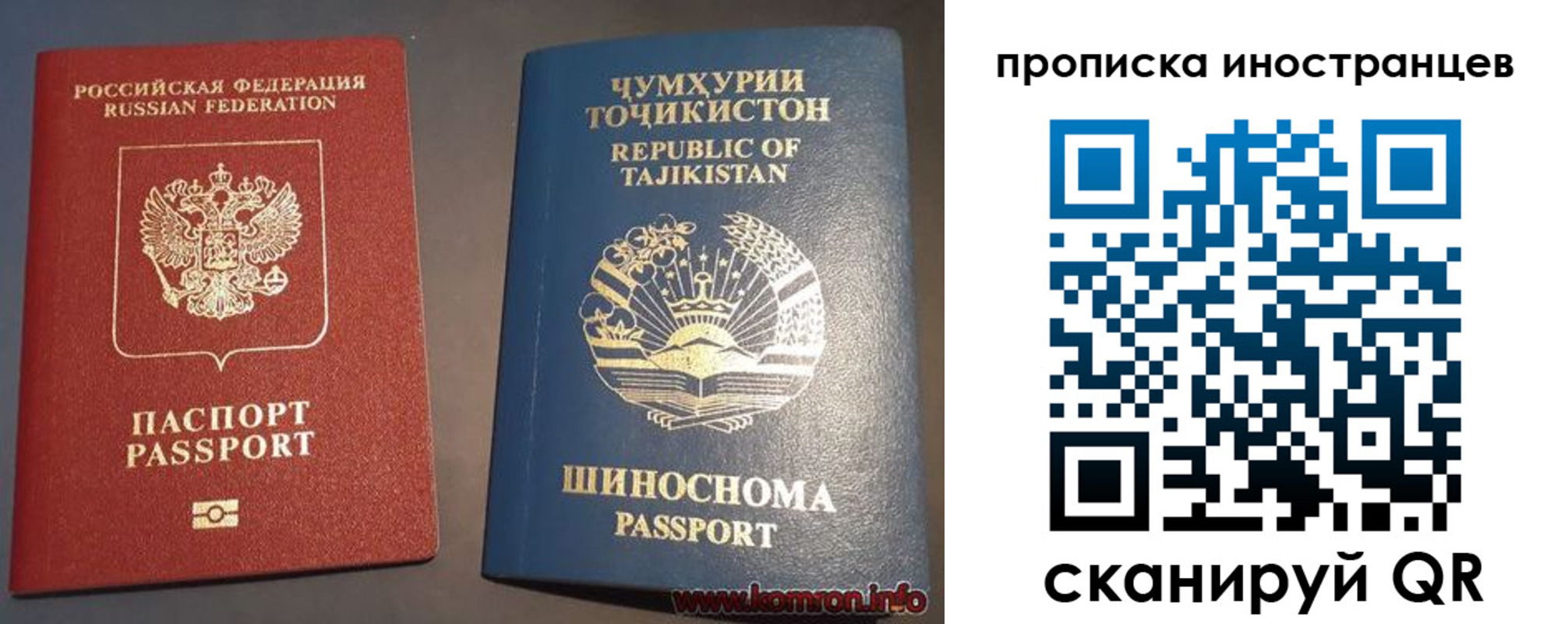 прописка поиск в Мончегорске